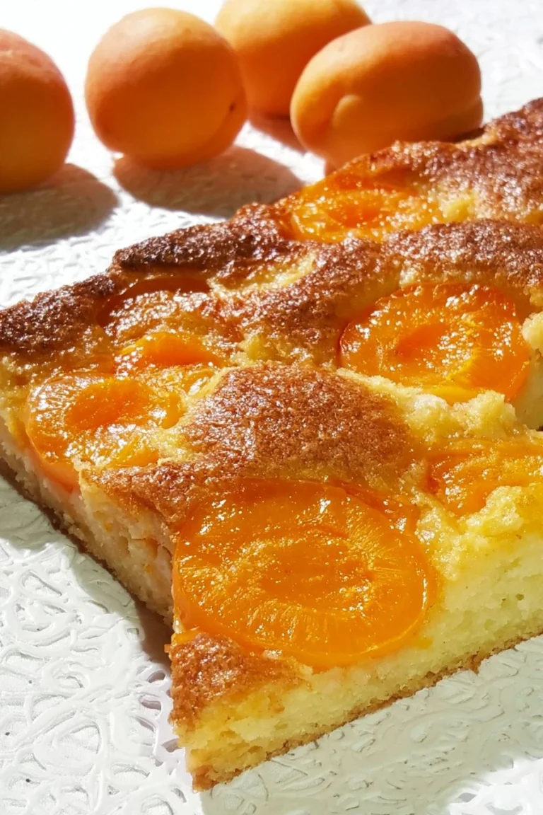 Tarte Fine aux Abricots, dessert doré et appétissant sur une assiette.